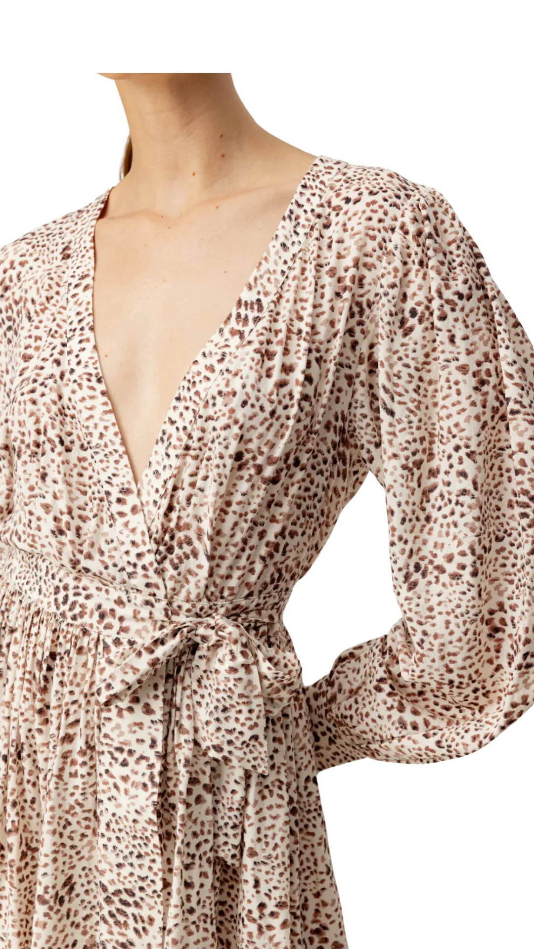 Leopard Print Dress