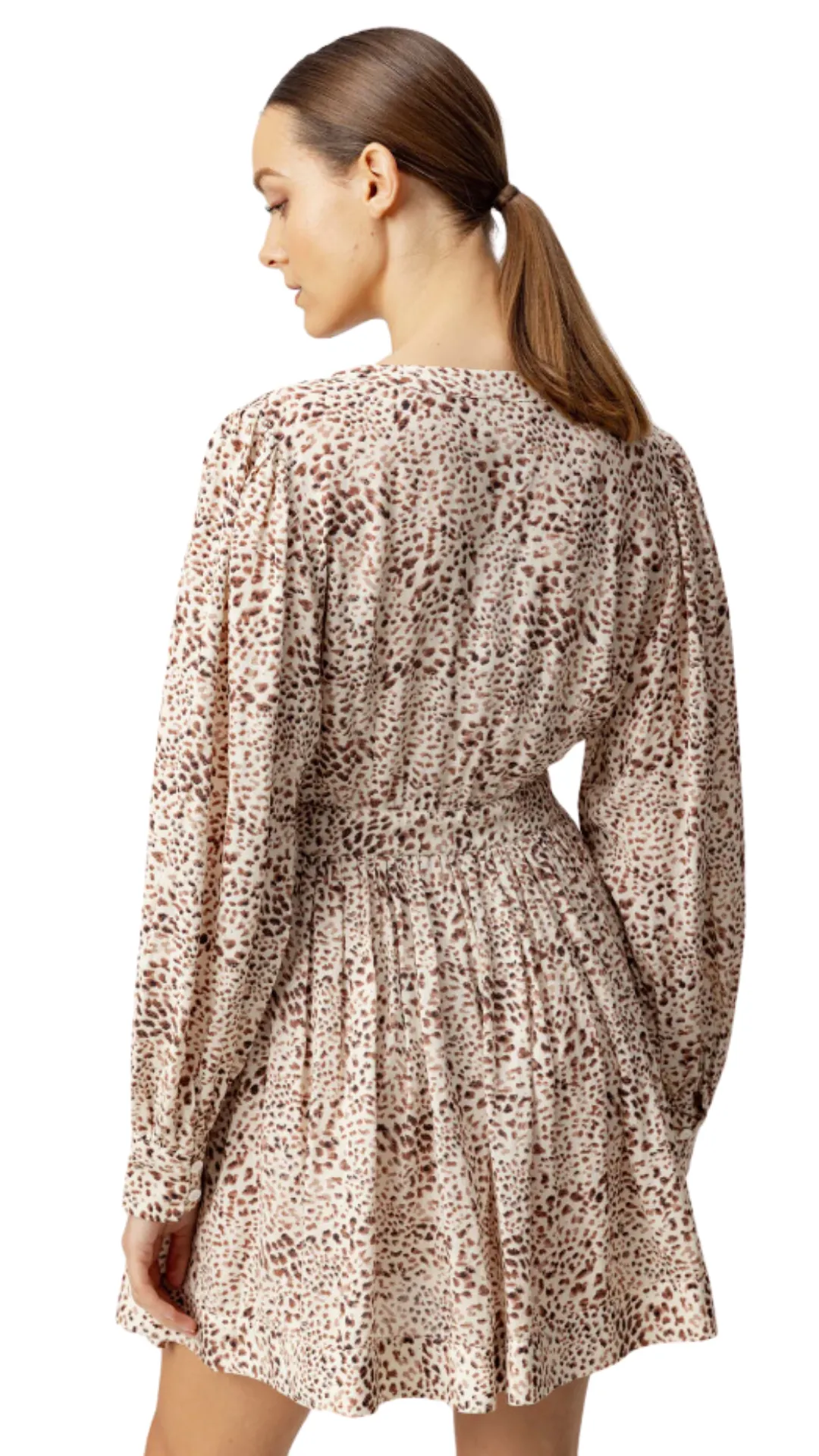 Leopard Print Dress